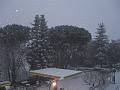 Neve (85)